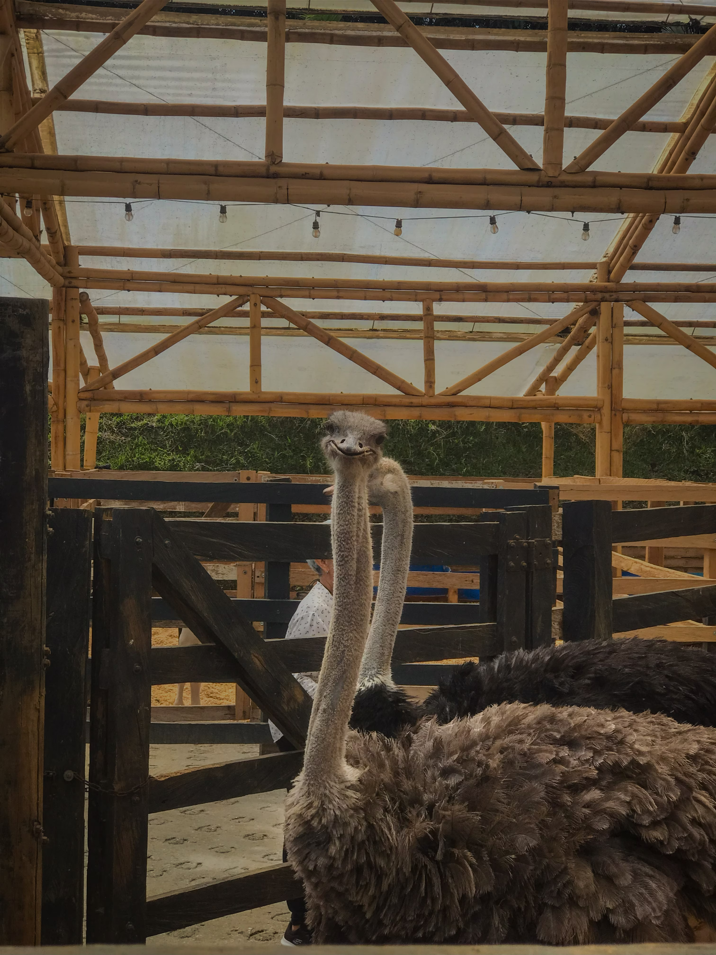 Guatapé: Tour de los sabores y zócalos guatape-2.avif