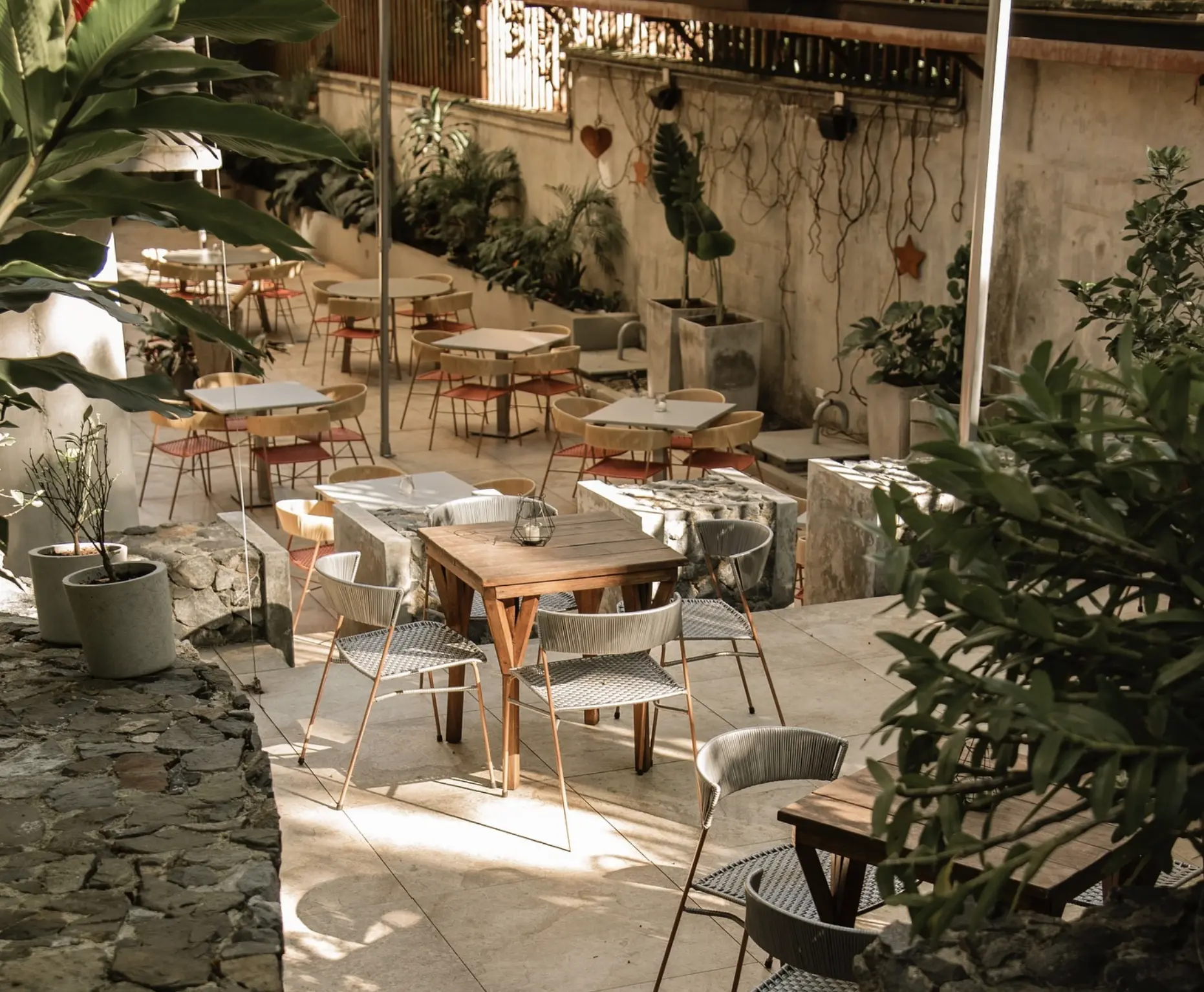 V-Coffee - Imagen 1